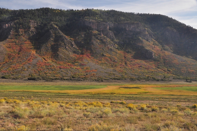 the fall colors of the canyons